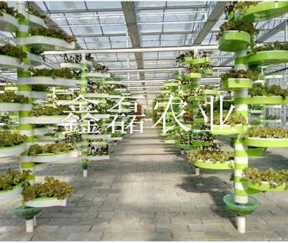 花卉、育苗基地