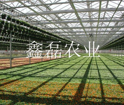 花卉、育苗基地