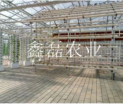 花卉、育苗基地