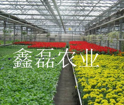 溫室噴灌系統(tǒng)