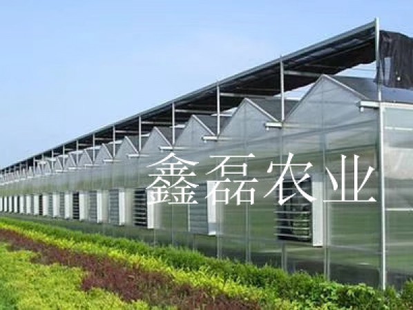 陽(yáng)光板溫室